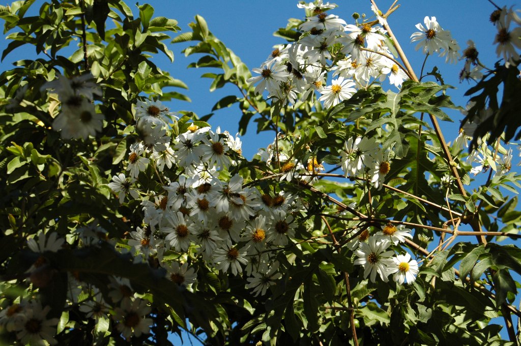 [DSC_6772_1024x680.jpg]