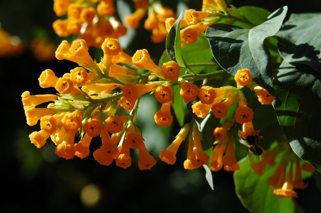 [DSC_6747_1024x680.jpg]