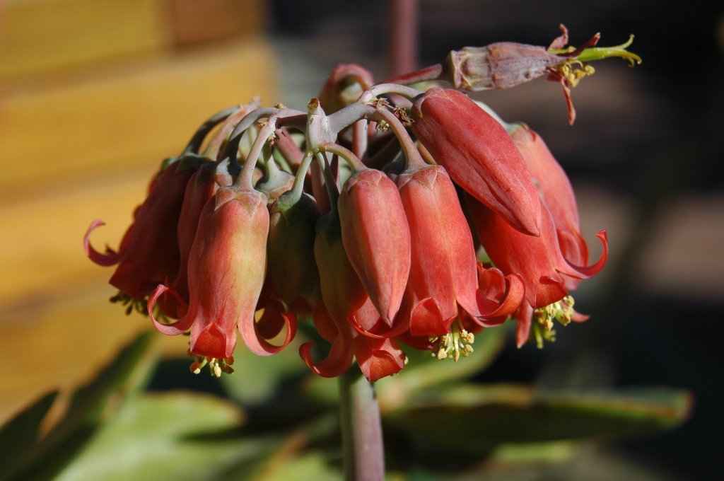 [DSC_6718_1024x680.jpg]