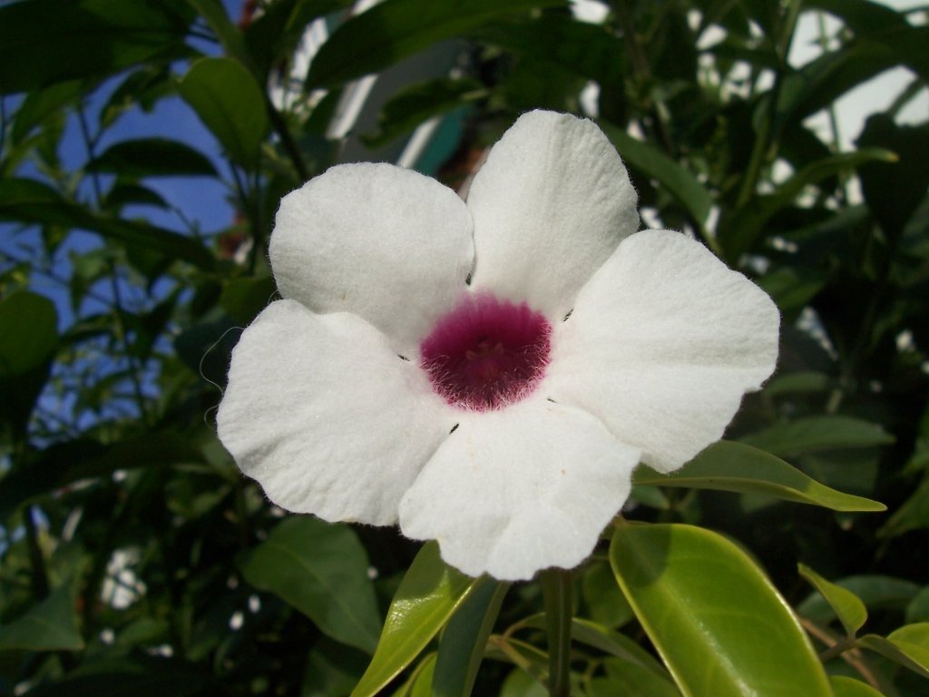 [100_2531_1024x768.jpg]