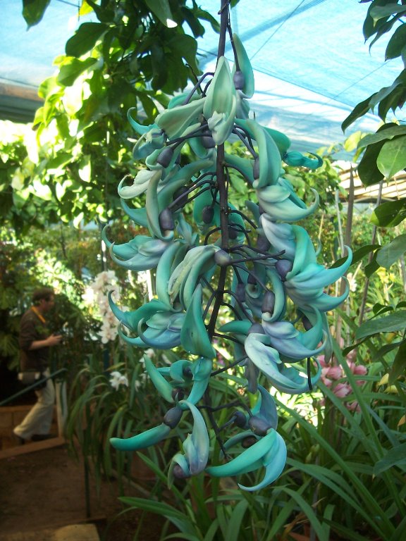 [Fiesta+Andalucia+205_576x768.jpg]