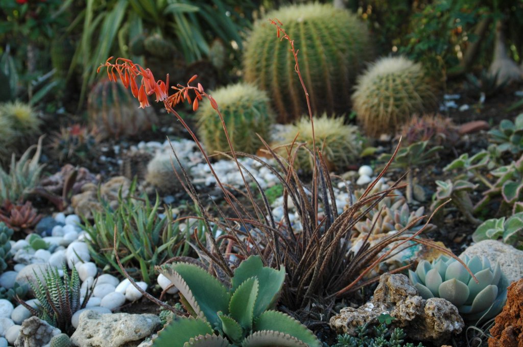 [DSC_6090_1024x680.jpg]