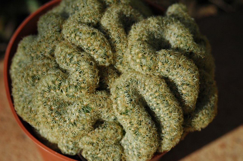 [DSC_6852_1024x680.jpg]