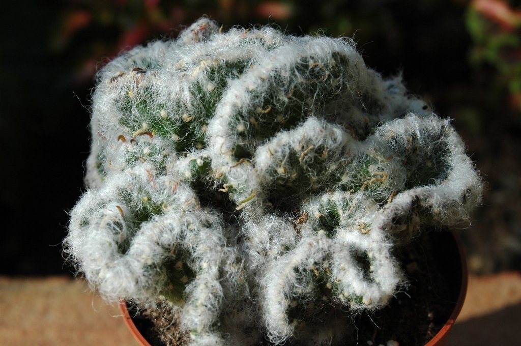 [DSC_6856_1024x680.jpg]