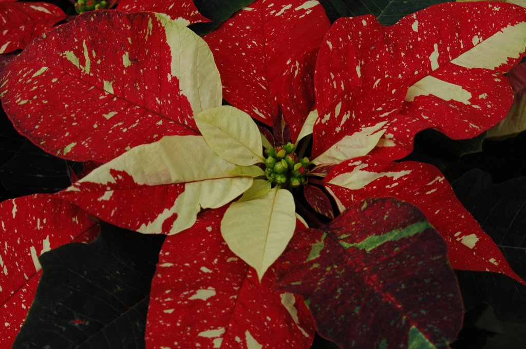 [DSC_6869_1024x680.jpg]