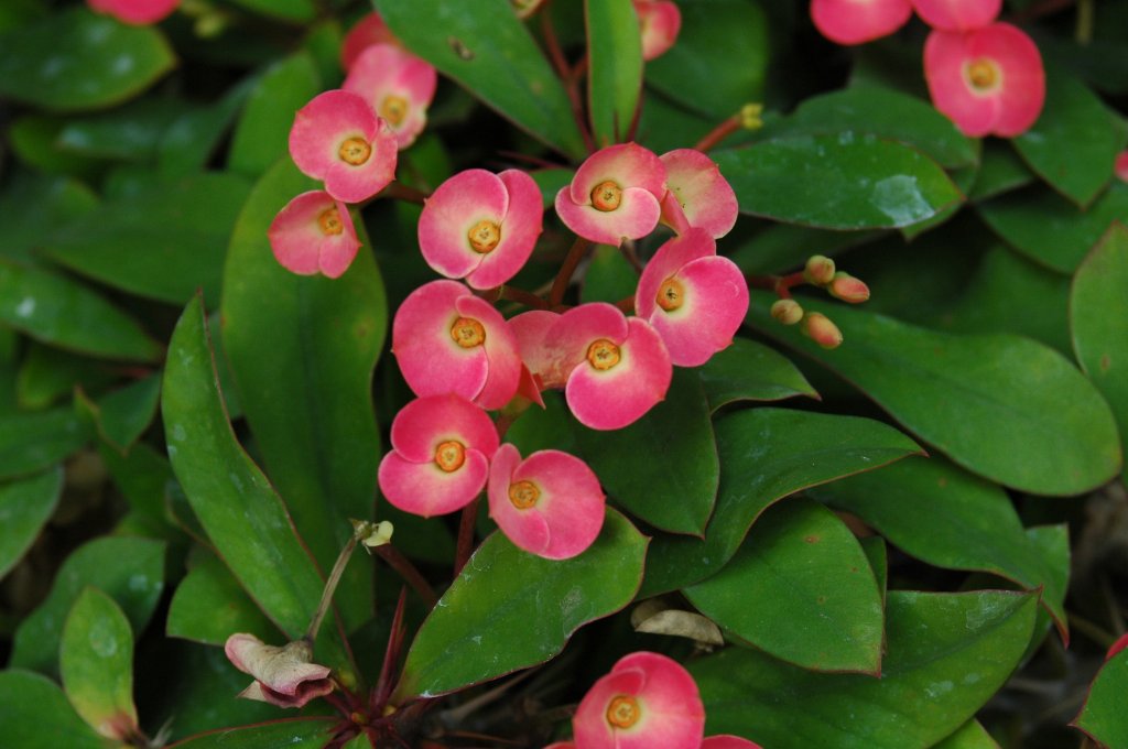 [DSC_6875_1024x680.jpg]