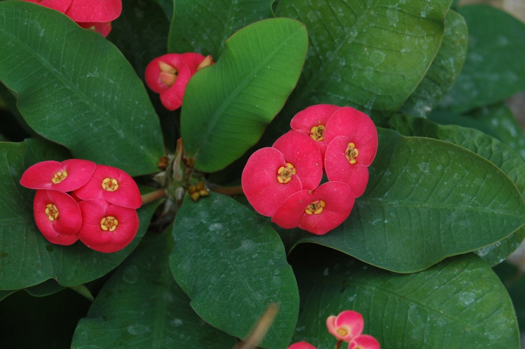 [DSC_6883_1024x680.jpg]