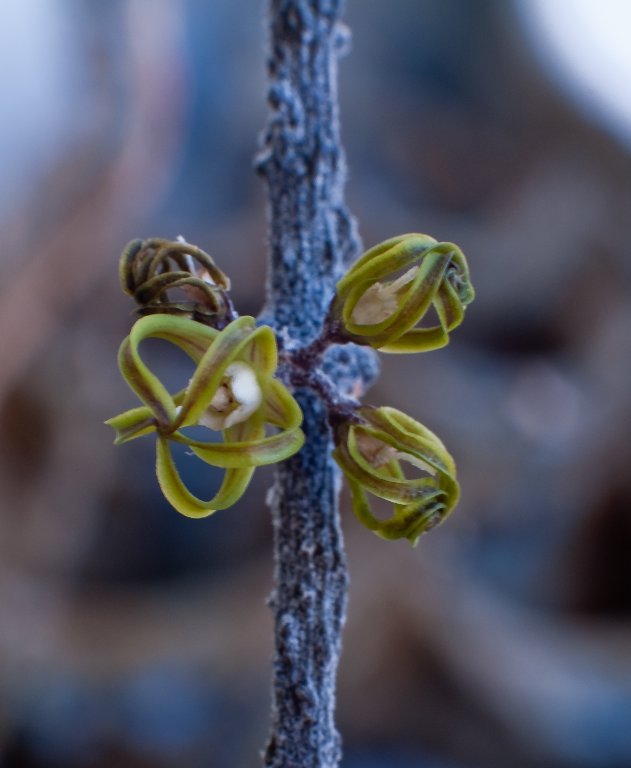 [DSC_1372_631x768.jpg]