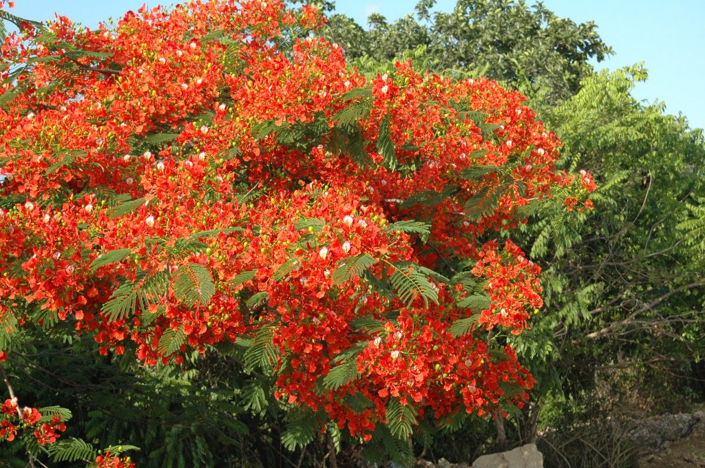 [Cuba+(437)_1024x680.jpg]