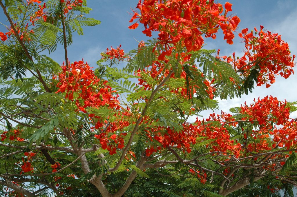 [Cuba+(17)_1024x680.jpg]