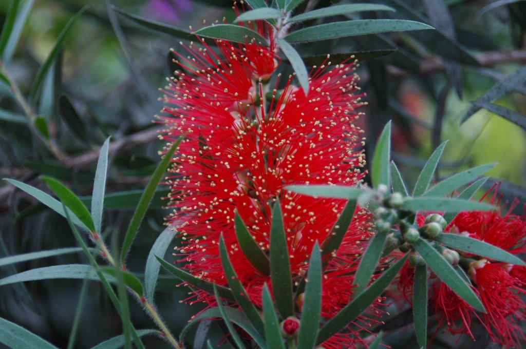 [DSC_6889_1024x680.jpg]