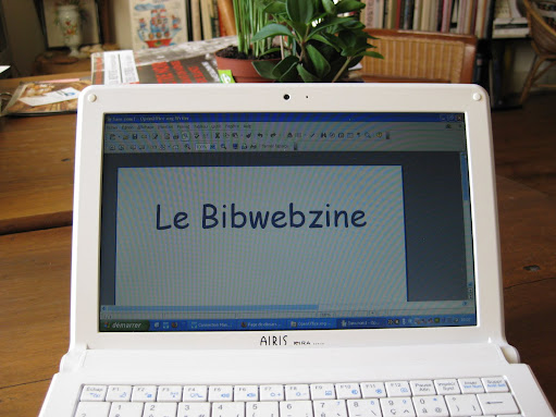 Le bibwebzine