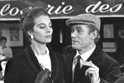 Capucine - JungleKey.fr Image #250