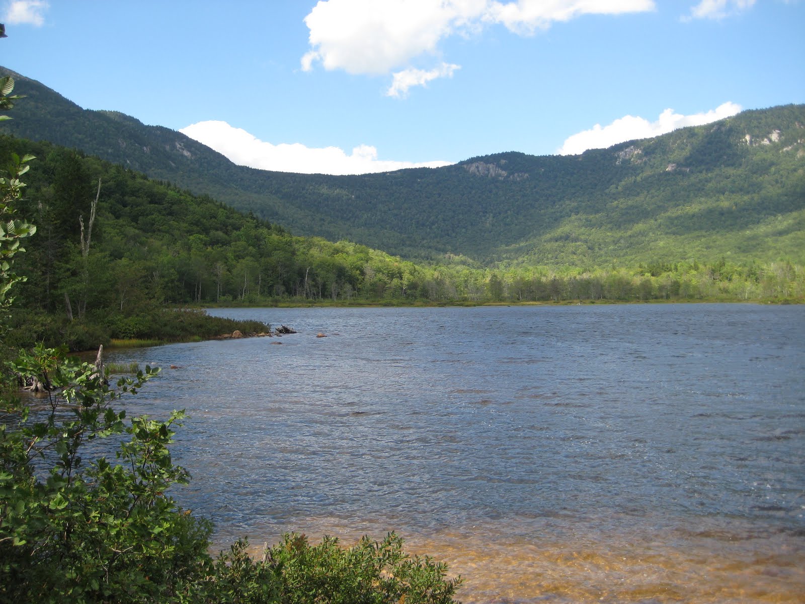 Hike Your Own Hike Wild River Wilderness Area, New Hampshire