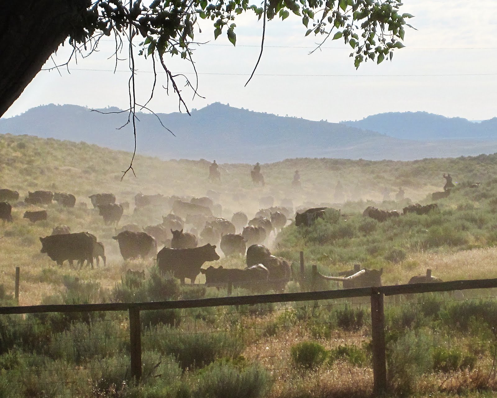 Pony Riding By: bits of my saturday