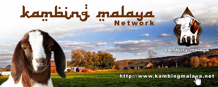 KAMBING MALAYA NETWORK (KMN)