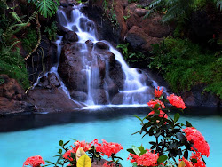 tropical waterfalls quotes waterfall hawaii flowers scenery hawaiian desktop island paradise water beach pretty background nature tropics fall wallpapers places