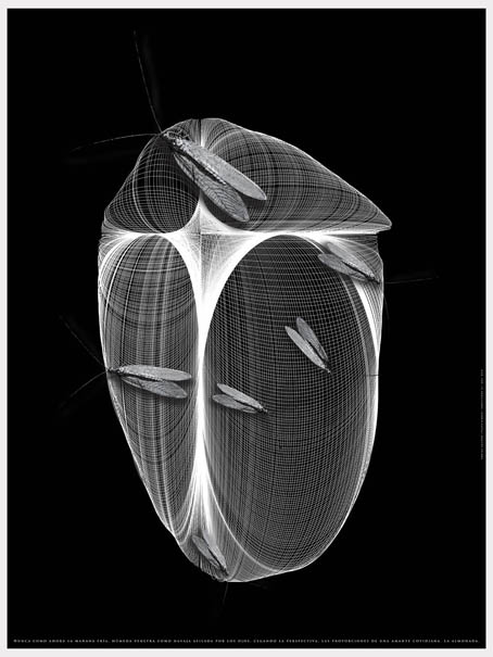 Insectívora 01