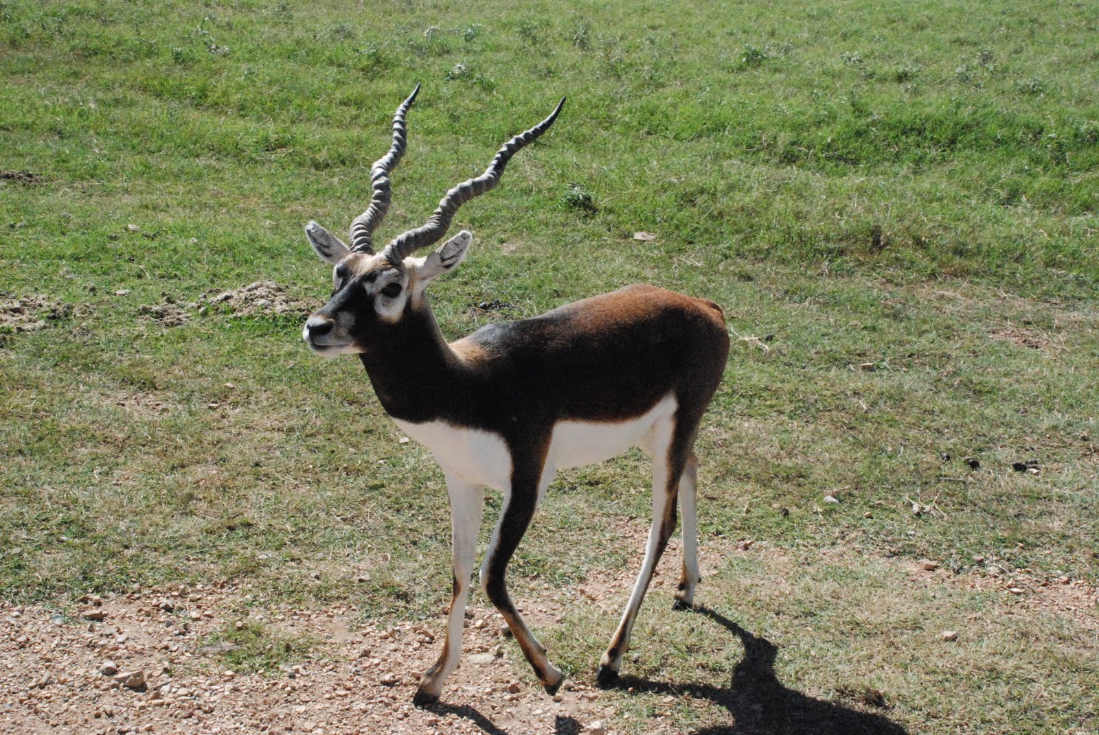 Adams RVing Adventures Arbuckle Wilderness in Davis, Oklahoma