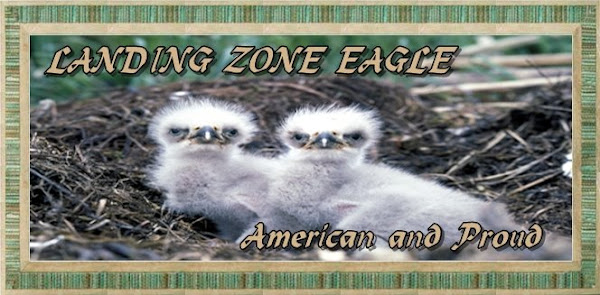 Landing Zone Eagle