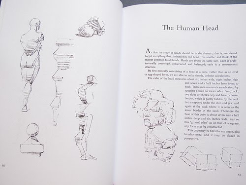 Джордж бриджмен полное руководство по рисунку с натуры