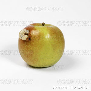 gusano-comida-manzana-~-itf139002.jpg