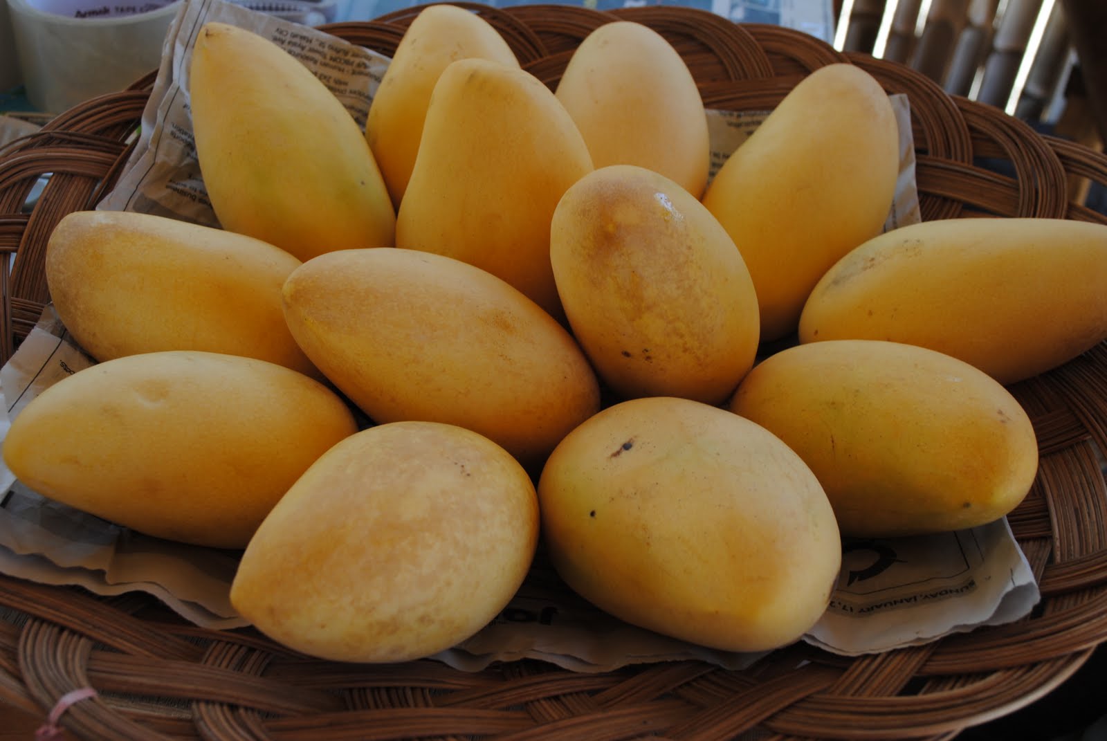 Pau's Detours The Guimaras Mango Domination