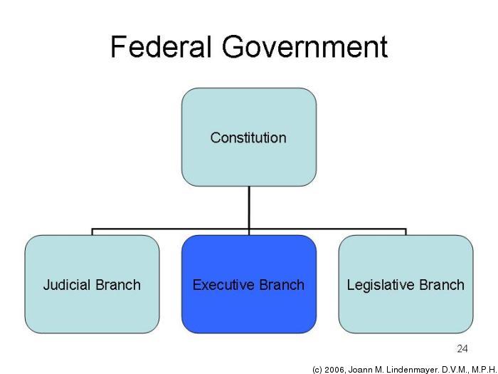 British studies GOVERMENT