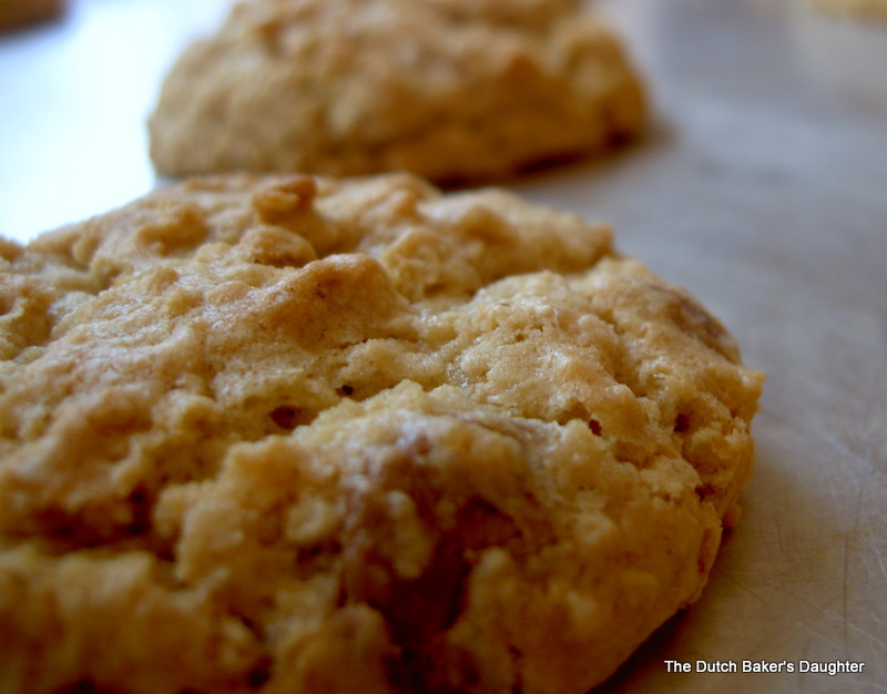 The Dutch Baker's Daughter Peanut Butter Cup Oatmeal Cookies