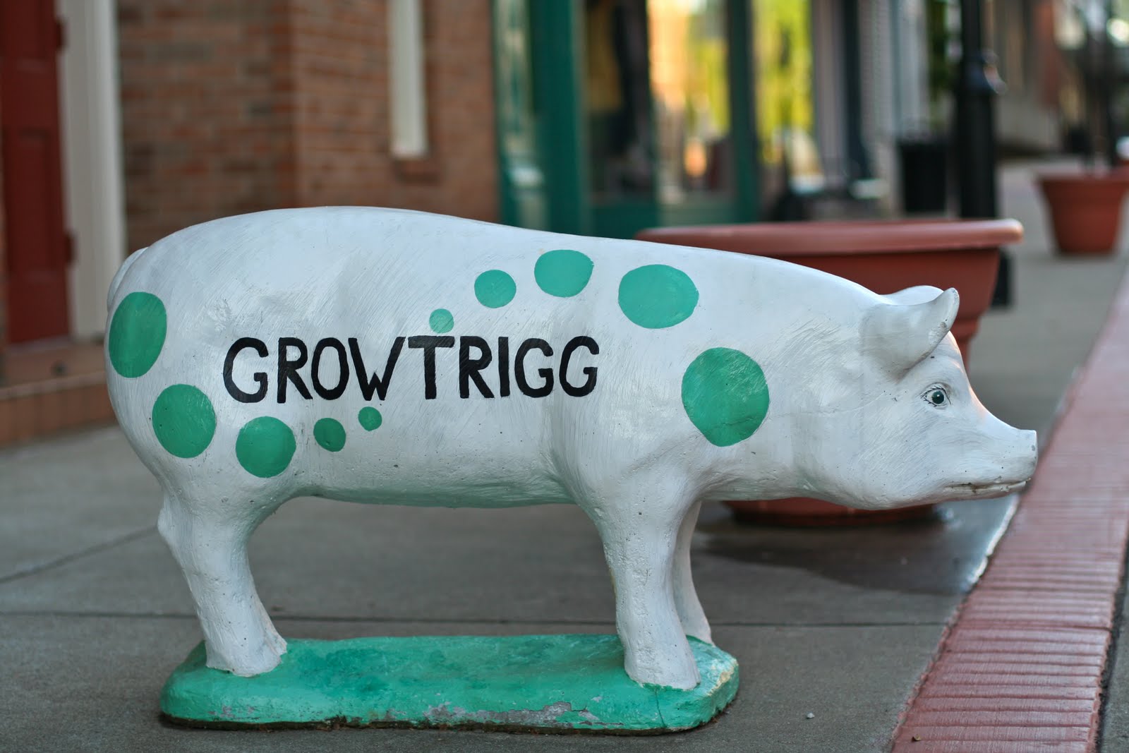 Tom Hughes Realty Cadiz Pigs