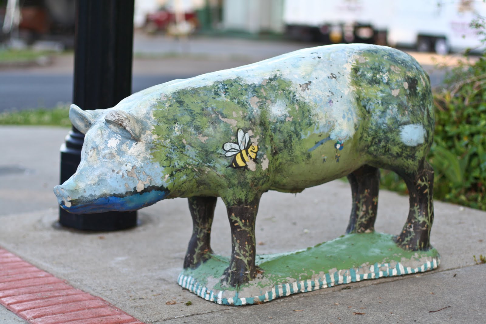 Tom Hughes Realty Cadiz Pigs
