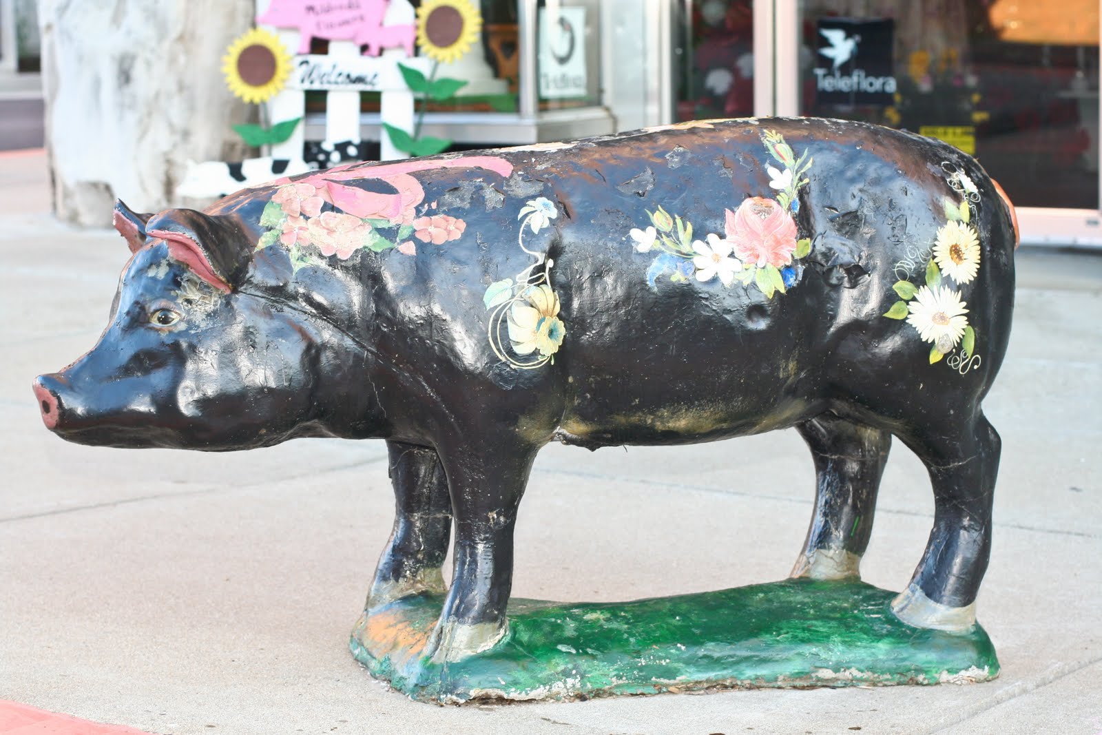 Tom Hughes Realty Cadiz Pigs