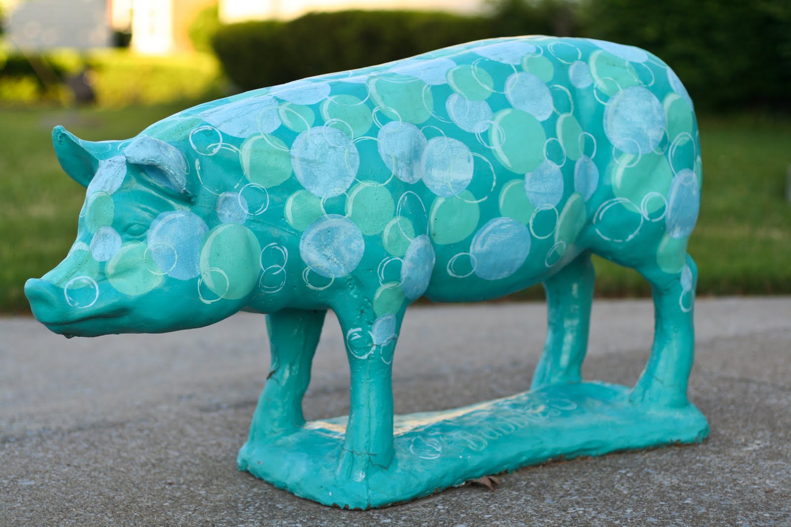 Tom Hughes Realty Cadiz Pigs