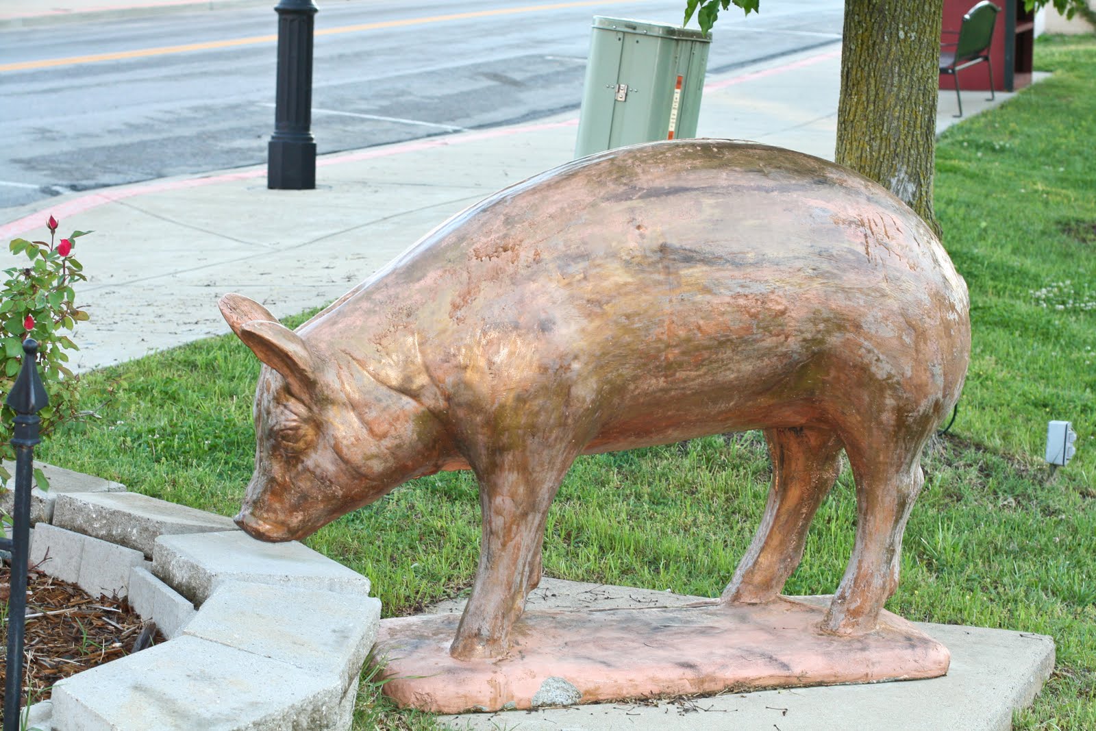 Tom Hughes Realty Cadiz Pigs
