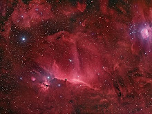 The Horsehead Nebula