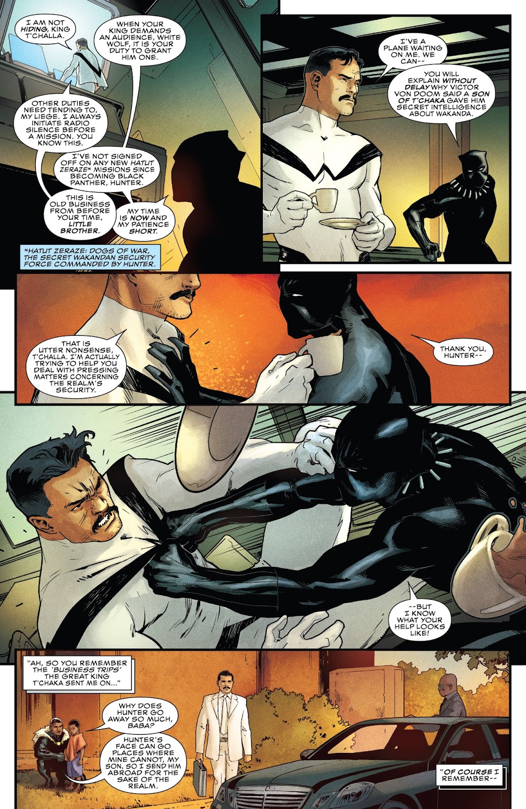 Rise of the Black Panther issue 5 - Page 5