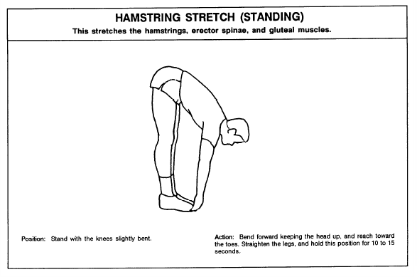 The Game Plan: The X-Factor: Stretching and Flexibility (Exercise ...