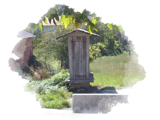 [Photo+Editor_EPSN0119.JPG]