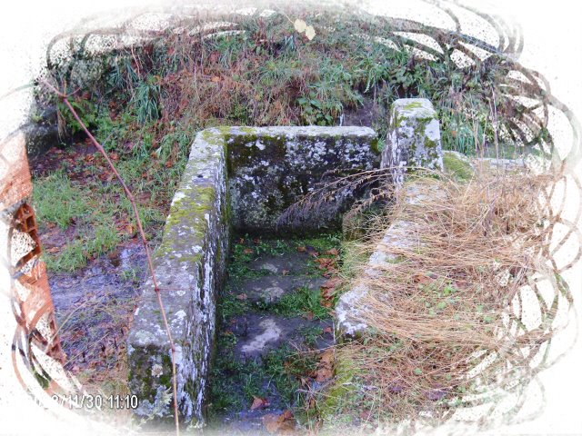 [Photo+Editor_HPIM4939.JPG]