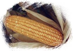 [Photo+Editor_44661_0005hafc.jpg]