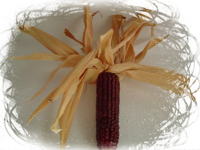 [Photo+Editor_2223435.jpg]