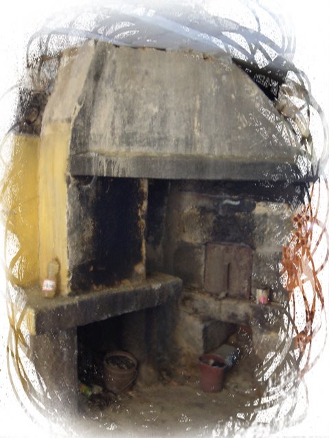 [Photo+Editor_EPSN3751.JPG]