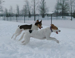 Snowy sisters