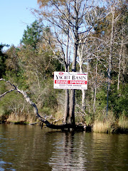 Alligator Pungo Canal