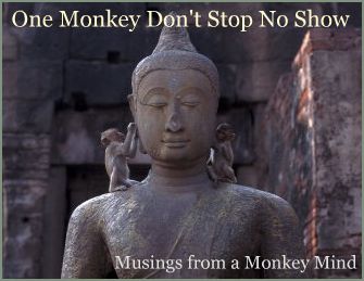 One Monkey Don't Stop No Show