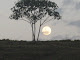 Minha foto