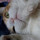 My photo