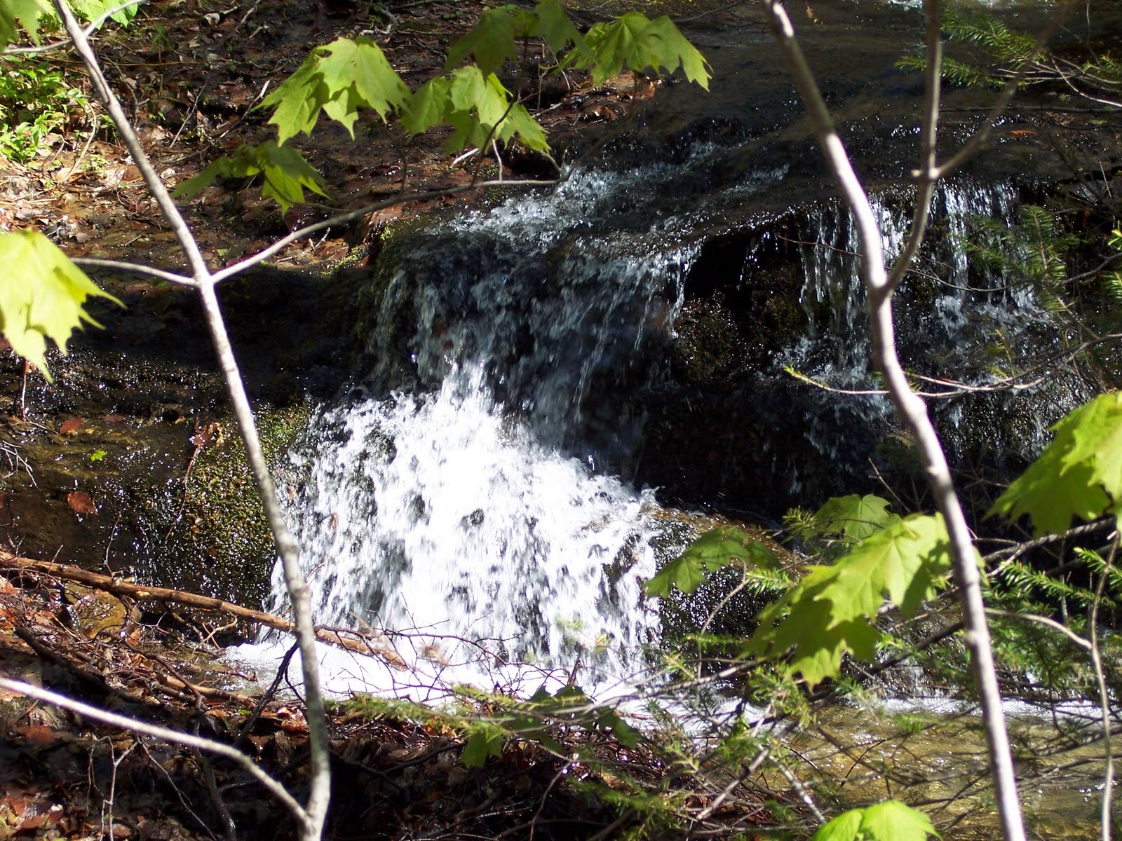 Hiking Vermont Stage 20 LT Day Hike from Belvidere to Hazen's Notch