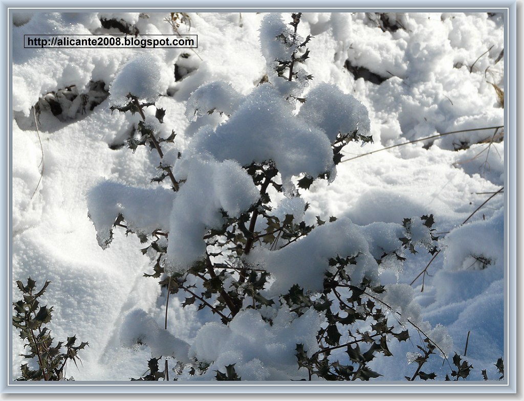 Alicante2008 - Blog de Fotografía: Estampas Navideñas: Nieve en la