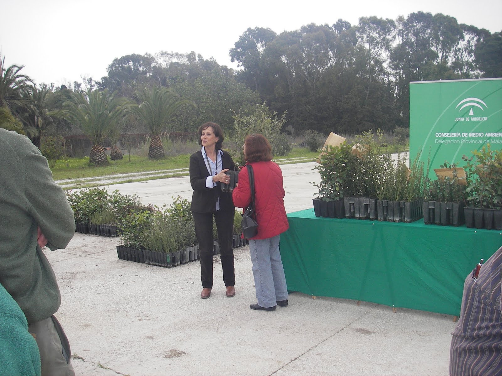 Aulaga Entrega de plantones en el Vivero de la Junta de AndalucíaMálaga